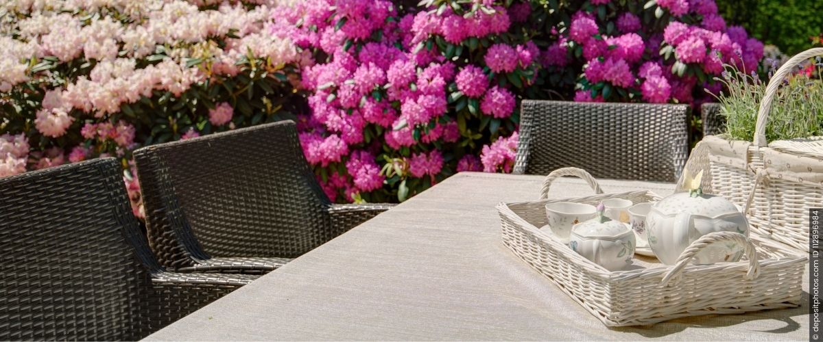 Verleihen Sie Ihrem Garten ein modernes Flair 5 Neuheiten, die für